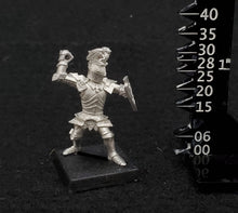 Load image into Gallery viewer, 52-1175:  Dragon Knight
