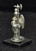 Load image into Gallery viewer, 52-3203: Chinese Heavy Infantry - Shield Forward