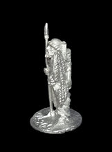 Load image into Gallery viewer, 52-5012: Desert Warrior Spearmen, In Reserve
