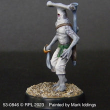 Load image into Gallery viewer, 53-0846:  HammerHead Arquebusier II, Dagger in Hand