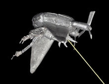 Load image into Gallery viewer, 53-0963 49-6831: Airship Automaton with Personal Dirigible