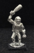 Load image into Gallery viewer, 57-0231: Hill Troll