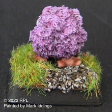 Load image into Gallery viewer, TMM-4001 Little Wooly