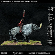 Load image into Gallery viewer, 48-0101:  Brontotherium I