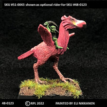 Load image into Gallery viewer, 48-0123:  Terror Bird III - Large Phorhusracos