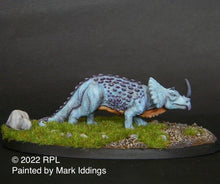 Load image into Gallery viewer, 48-0160:  Monoclonius