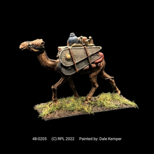 Load image into Gallery viewer, 48-0205: Pack Camel II, With Shields