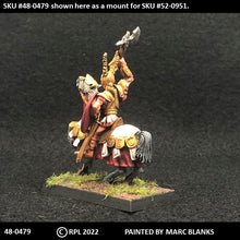 Load image into Gallery viewer, 48-0479: Heavy Warhorse - Ornate Armor