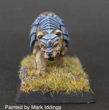 Load image into Gallery viewer, 48-0601:  Bear in Plate Armor