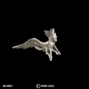 48-0807:  Young Pegasus