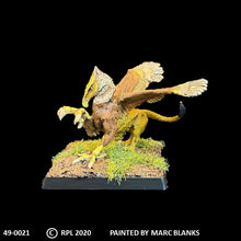 Load image into Gallery viewer, 49-0021: Young Griffin