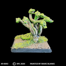 Load image into Gallery viewer, 49-0043:  Hydra, Young