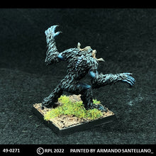 Load image into Gallery viewer, 49-0271:  Yheti