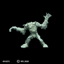 Load image into Gallery viewer, 49-0271:  Yheti