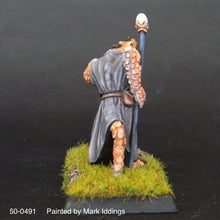 Load image into Gallery viewer, 50-0491: Troglodyte Sorcerer