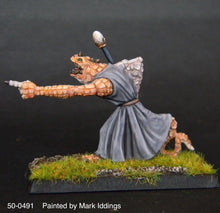 Load image into Gallery viewer, 50-0491: Troglodyte Sorcerer
