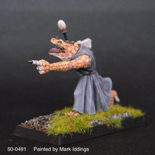 Load image into Gallery viewer, 50-0491: Troglodyte Sorcerer