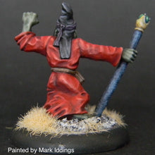 Load image into Gallery viewer, 51-0172: Orc Shaman