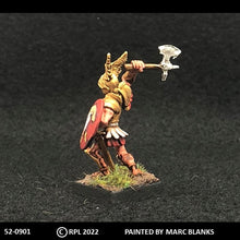 Load image into Gallery viewer, 52-0901: Paladin with Axe