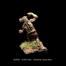 Load image into Gallery viewer, 53-0904: Lycanthrope - Wereboar