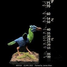 Load image into Gallery viewer, 48-0123:  Terror Bird III - Large Phorhusracos