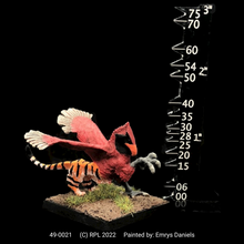 Load image into Gallery viewer, 49-0021: Young Griffin