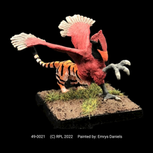 Load image into Gallery viewer, 49-0021: Young Griffin