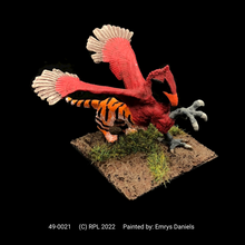 Load image into Gallery viewer, 49-0021: Young Griffin