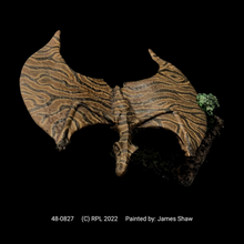 Load image into Gallery viewer, 48-0827:  Winged Lizard II