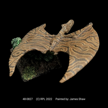 Load image into Gallery viewer, 48-0827:  Winged Lizard II