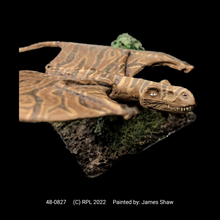 Load image into Gallery viewer, 48-0827:  Winged Lizard II