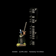 Load image into Gallery viewer, 50-0035: Sea Elf Honor Guard with Great Sword