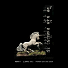 Load image into Gallery viewer, 48-0811: Unicorn I