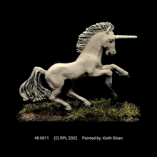 Load image into Gallery viewer, 48-0811: Unicorn I