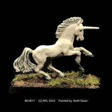 Load image into Gallery viewer, 48-0811: Unicorn I