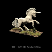 Load image into Gallery viewer, 48-0811: Unicorn I