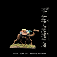 Load image into Gallery viewer, 48-0204: Pack Camel I, No Shields