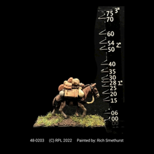 Load image into Gallery viewer, 48-0203: Pack Pony, No Shields