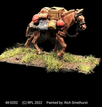 Load image into Gallery viewer, 48-0202: Pack Mule, Shield on Left Side