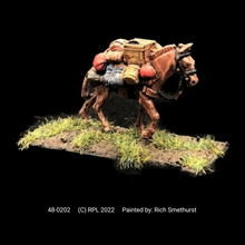 Load image into Gallery viewer, 48-0202: Pack Mule, Shield on Left Side