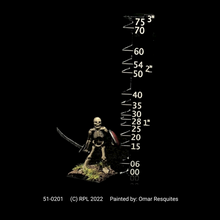Load image into Gallery viewer, 51-0201: Unarmored Skeleton with Sword and Shield I