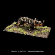 Load image into Gallery viewer, 48-0160:  Monoclonius