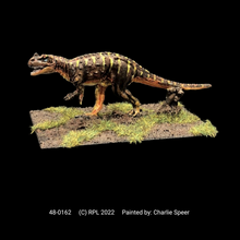 Load image into Gallery viewer, 48-0162:  Ceratosaurus