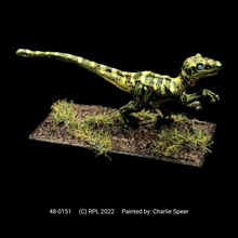 Load image into Gallery viewer, 48-0151:  Raptor I