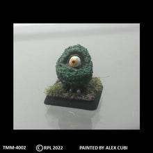 Load image into Gallery viewer, TMM-4002 Closed Mouth Wooly