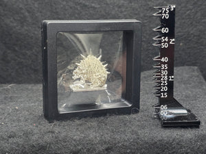 103-0301:  Single Miiniature Display Case