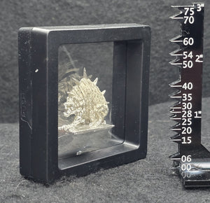103-0301:  Single Miiniature Display Case