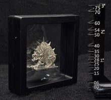 Load image into Gallery viewer, 103-0301:  Single Miiniature Display Case
