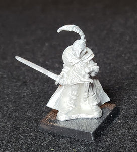 50-0018: Elite Armored Elf, with Sword and Shield