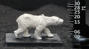 48-0245:  Polar Bear I, Closed Mouth